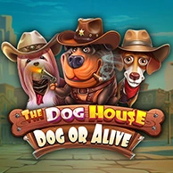 The Dog House Dog Or Alive